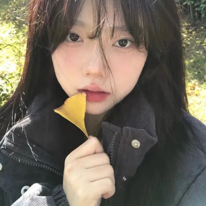 恋爱研究所